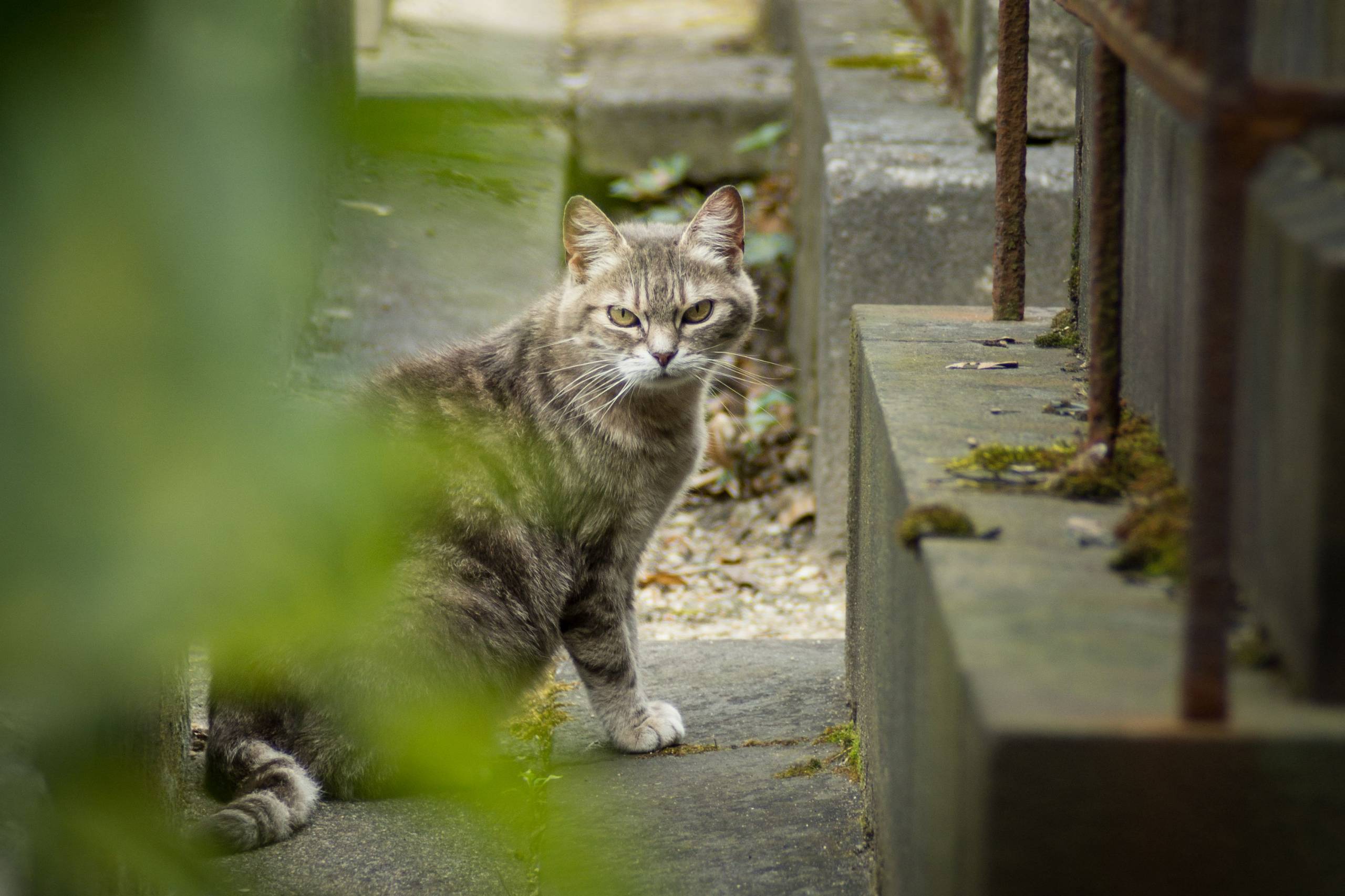 DSC02845q